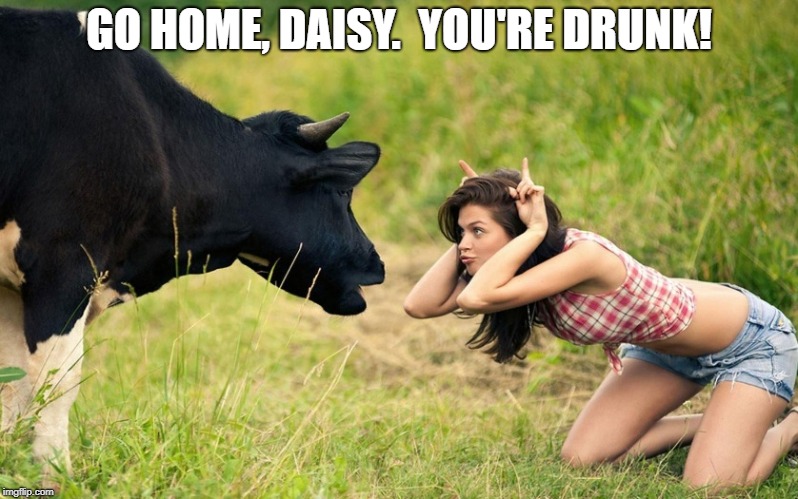Don't ya just wonder what the cow was really thinking?  LOL | GO HOME, DAISY.  YOU'RE DRUNK! | image tagged in funny memes,cows,babes,hot babes,farm,farmer | made w/ Imgflip meme maker