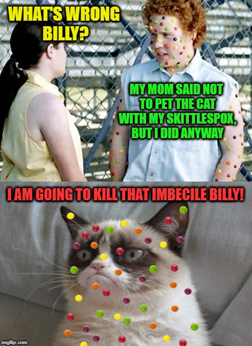 Kill Bill  | WHAT'S WRONG BILLY? MY MOM SAID NOT TO PET THE CAT WITH MY SKITTLESPOX, BUT I DID ANYWAY; I AM GOING TO KILL THAT IMBECILE BILLY! | image tagged in funny memes,skittles,grumpy cat,commercials | made w/ Imgflip meme maker