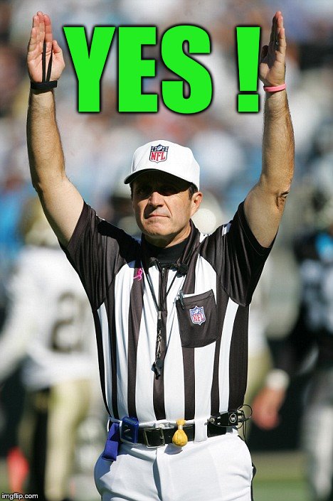 TOUCHDOWN! | YES ! | image tagged in touchdown | made w/ Imgflip meme maker