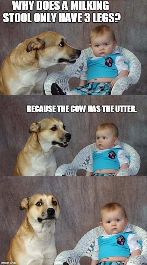 Dad Joke Dog | WHY DOES A MILKING STOOL ONLY HAVE 3 LEGS? BECAUSE THE COW HAS THE UTTER. | image tagged in memes,dad joke dog | made w/ Imgflip meme maker
