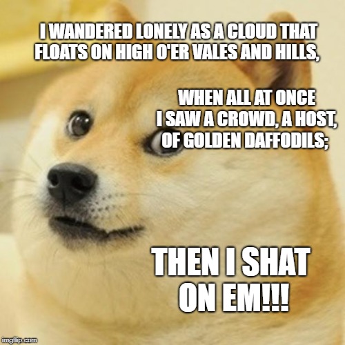 Doge Meme | I WANDERED LONELY AS A CLOUD
THAT FLOATS ON HIGH O'ER VALES AND HILLS, WHEN ALL AT ONCE I SAW A CROWD,
A HOST, OF GOLDEN DAFFODILS;; THEN I SHAT ON EM!!! | image tagged in memes,doge | made w/ Imgflip meme maker