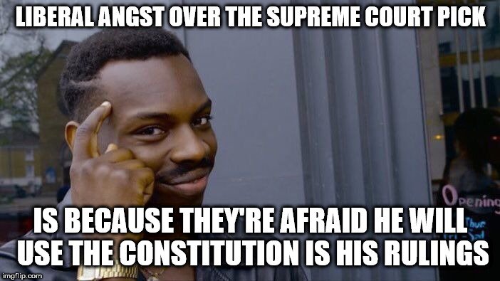 Roll Safe Think About It Meme | LIBERAL ANGST OVER THE SUPREME COURT PICK; IS BECAUSE THEY'RE AFRAID HE WILL USE THE CONSTITUTION IS HIS RULINGS | image tagged in memes,roll safe think about it | made w/ Imgflip meme maker
