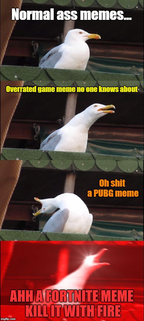 Inhaling Seagull Meme | Normal ass memes... Overrated game meme no one knows about; Oh shit a PUBG meme; AHH A FORTNITE MEME KILL IT WITH FIRE | image tagged in memes,inhaling seagull | made w/ Imgflip meme maker