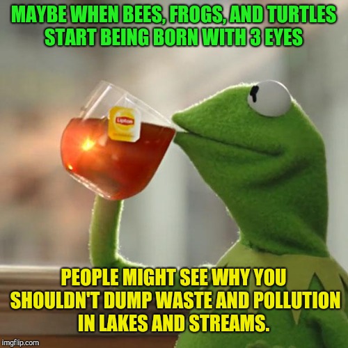 But That's None Of My Business |  MAYBE WHEN BEES, FROGS, AND TURTLES START BEING BORN WITH 3 EYES; PEOPLE MIGHT SEE WHY YOU SHOULDN'T DUMP WASTE AND POLLUTION IN LAKES AND STREAMS. | image tagged in memes,but thats none of my business,kermit the frog,global warming,pollution,scott pruitt | made w/ Imgflip meme maker