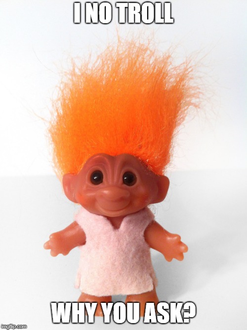 Troll doll | I NO TROLL; WHY YOU ASK? | image tagged in troll doll | made w/ Imgflip meme maker