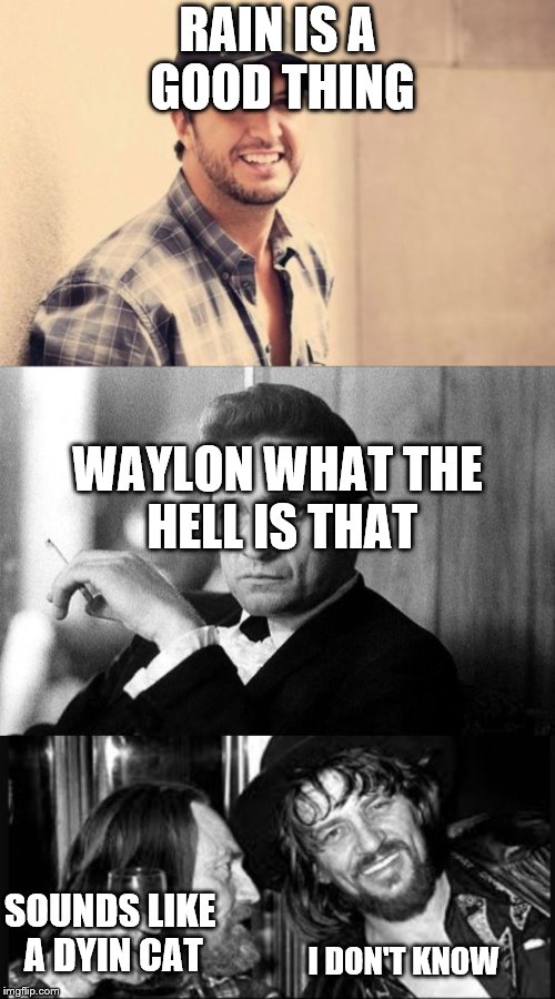 RAIN IS A GOOD THING; WAYLON WHAT THE HELL IS THAT; I DON'T KNOW; SOUNDS
LIKE A DYIN CAT | image tagged in willie nelson | made w/ Imgflip meme maker
