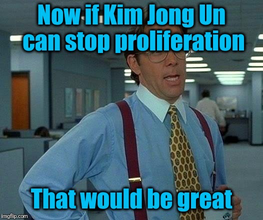 That Would Be Great Meme | Now if Kim Jong Un can stop proliferation That would be great | image tagged in memes,that would be great | made w/ Imgflip meme maker