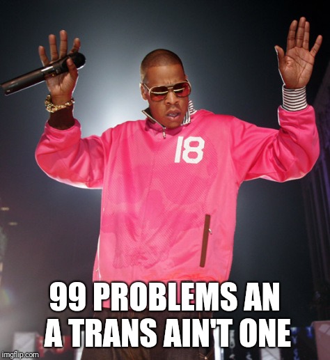 99 Problems | 99 PROBLEMS AN A TRANS AIN'T ONE | image tagged in 99 problems | made w/ Imgflip meme maker