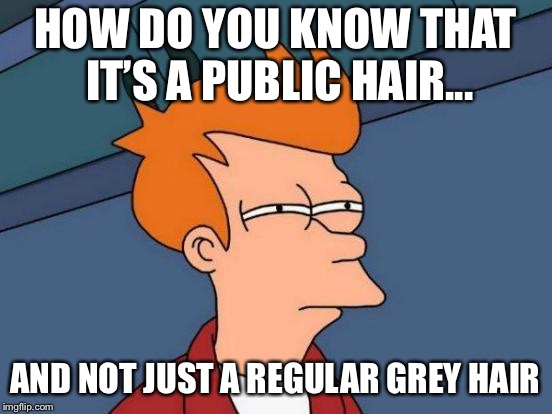 HOW DO YOU KNOW THAT IT’S A PUBLIC HAIR... AND NOT JUST A REGULAR GREY HAIR | image tagged in memes,futurama fry | made w/ Imgflip meme maker