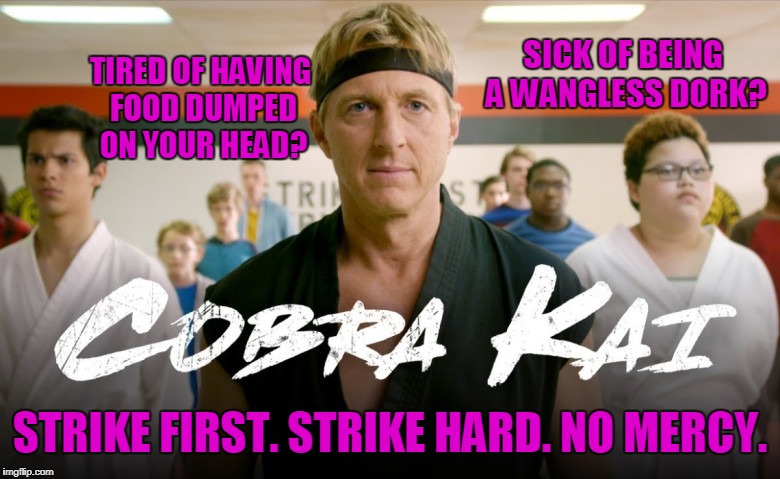 What America needs. | SICK OF BEING A WANGLESS DORK? TIRED OF HAVING FOOD DUMPED ON YOUR HEAD? STRIKE FIRST. STRIKE HARD. NO MERCY. | image tagged in cobra kai,america | made w/ Imgflip meme maker