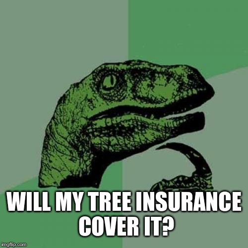 Philosoraptor Meme | WILL MY TREE INSURANCE COVER IT? | image tagged in memes,philosoraptor | made w/ Imgflip meme maker