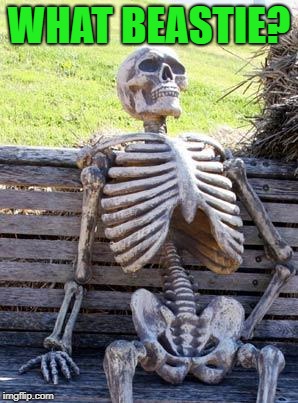 Waiting Skeleton Meme | WHAT BEASTIE? | image tagged in memes,waiting skeleton | made w/ Imgflip meme maker