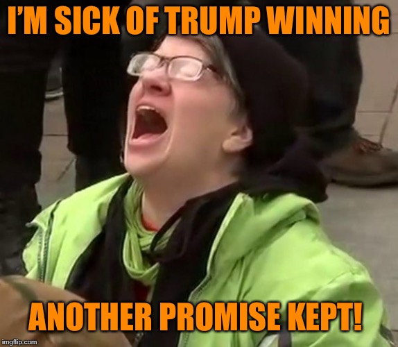 I’M SICK OF TRUMP WINNING ANOTHER PROMISE KEPT! | made w/ Imgflip meme maker