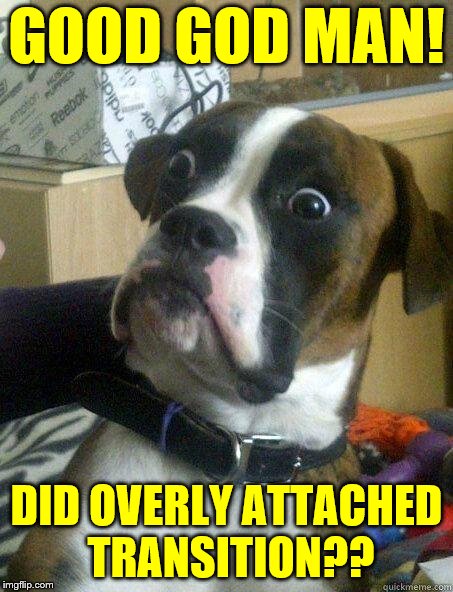 Shocked Dog | GOOD GOD MAN! DID OVERLY ATTACHED TRANSITION?? | image tagged in shocked dog | made w/ Imgflip meme maker