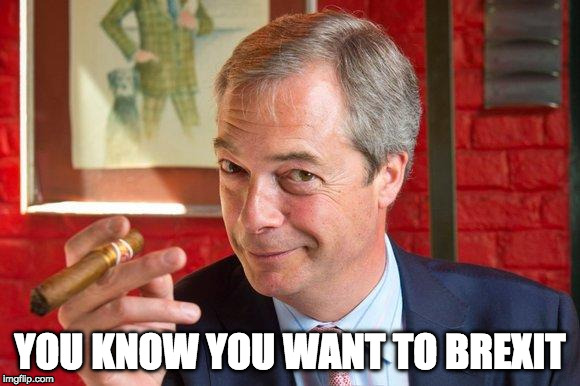 Nigel Farage |  YOU KNOW YOU WANT TO BREXIT | image tagged in nigel farage | made w/ Imgflip meme maker