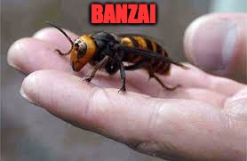 BANZAI | made w/ Imgflip meme maker