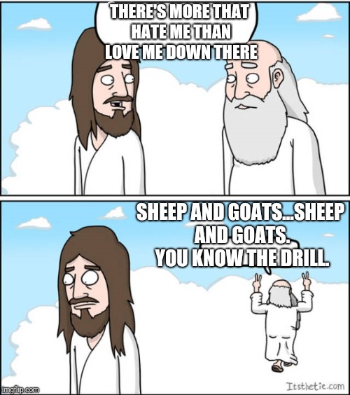 THERE'S MORE THAT HATE ME THAN LOVE ME DOWN THERE SHEEP AND GOATS...SHEEP AND GOATS. YOU KNOW THE DRILL. | made w/ Imgflip meme maker