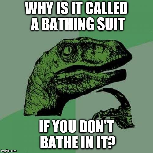 Philosoraptor Meme | WHY IS IT CALLED A BATHING SUIT; IF YOU DON'T BATHE IN IT? | image tagged in memes,philosoraptor | made w/ Imgflip meme maker