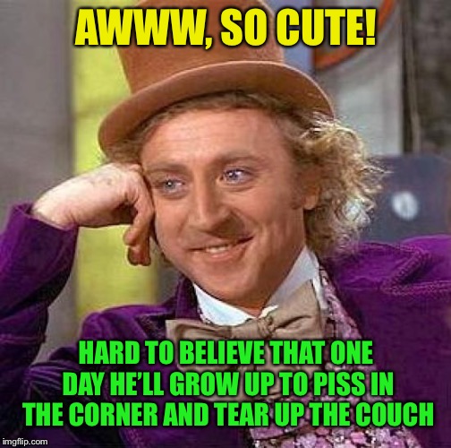Creepy Condescending Wonka Meme | AWWW, SO CUTE! HARD TO BELIEVE THAT ONE DAY HE’LL GROW UP TO PISS IN THE CORNER AND TEAR UP THE COUCH | image tagged in memes,creepy condescending wonka | made w/ Imgflip meme maker