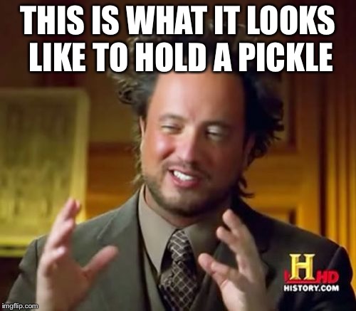 Quality Millennial | THIS IS WHAT IT LOOKS LIKE TO HOLD A PICKLE | image tagged in memes | made w/ Imgflip meme maker