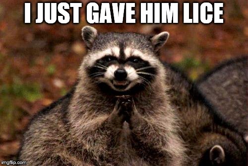 Evil Plotting Raccoon Meme | I JUST GAVE HIM LICE | image tagged in memes,evil plotting raccoon | made w/ Imgflip meme maker