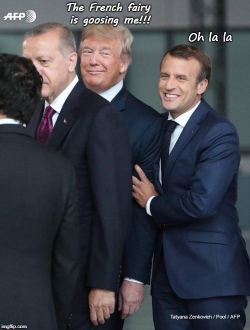 That look... | The French fairy is goosing me!!! Oh la la | image tagged in potus,french,goose,oh la la | made w/ Imgflip meme maker