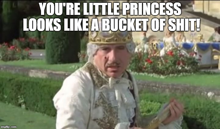 Mel Brooks good to be the king | YOU'RE LITTLE PRINCESS LOOKS LIKE A BUCKET OF SHIT! | image tagged in mel brooks good to be the king | made w/ Imgflip meme maker
