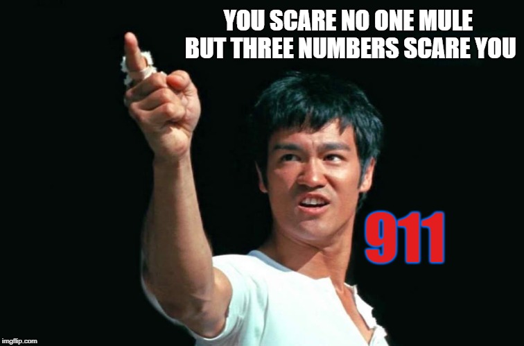 Hey Muleur | YOU SCARE NO ONE MULE BUT THREE NUMBERS SCARE YOU 911 | image tagged in bruce lee bastards,the twin towers doj top dog,ag of the w bush league,memes | made w/ Imgflip meme maker