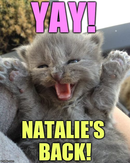 Yay Kitty | YAY! NATALIE'S BACK! | image tagged in yay kitty | made w/ Imgflip meme maker