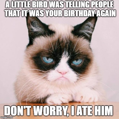 grumpy cat again | A LITTLE BIRD WAS TELLING PEOPLE THAT IT WAS YOUR BIRTHDAY AGAIN; DON'T WORRY, I ATE HIM | image tagged in grumpy cat again | made w/ Imgflip meme maker