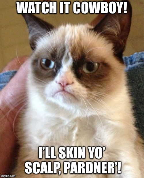 Grumpy Cat | WATCH IT COWBOY! I’LL SKIN YO’ SCALP, PARDNER’! | image tagged in memes,grumpy cat | made w/ Imgflip meme maker