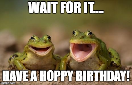 two happy frogs  | WAIT FOR IT.... HAVE A HOPPY BIRTHDAY! | image tagged in two happy frogs | made w/ Imgflip meme maker