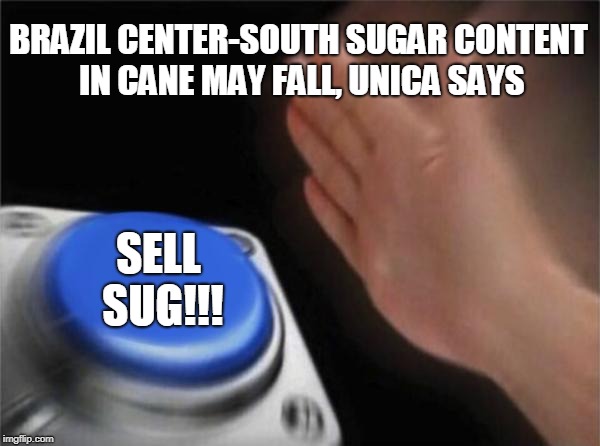 Blank Nut Button | BRAZIL CENTER-SOUTH SUGAR CONTENT IN CANE MAY FALL, UNICA SAYS; SELL SUG!!! | image tagged in memes,blank nut button | made w/ Imgflip meme maker