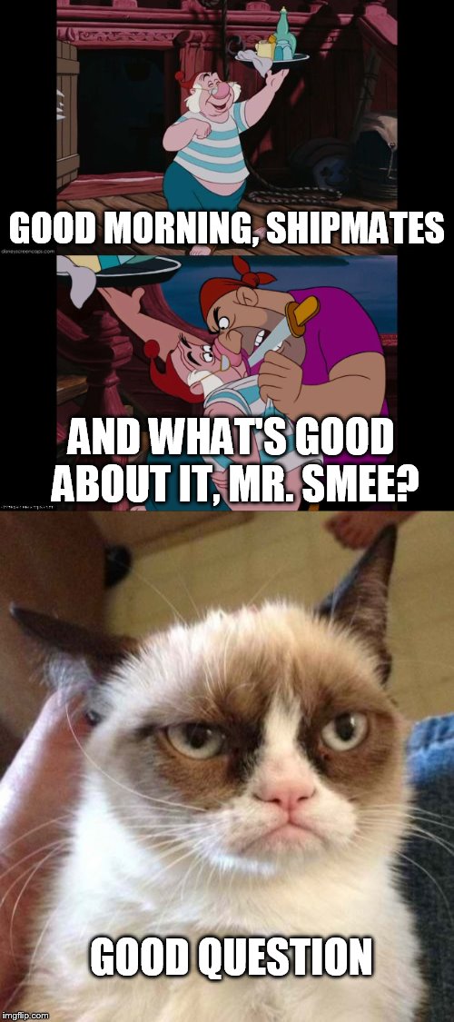  GOOD MORNING, SHIPMATES; AND WHAT'S GOOD ABOUT IT, MR. SMEE? GOOD QUESTION | image tagged in grumpy cat reverse | made w/ Imgflip meme maker