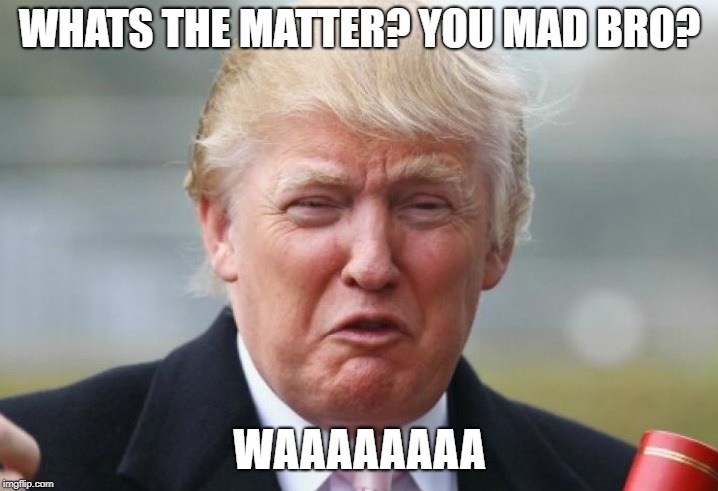 Trump Crybaby | WHATS THE MATTER? YOU MAD BRO? WAAAAAAAA | image tagged in trump crybaby | made w/ Imgflip meme maker