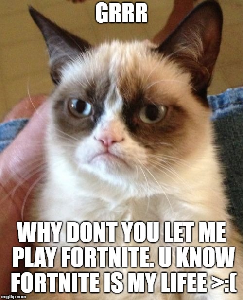 Grumpy Cat Meme | GRRR; WHY DONT YOU LET ME PLAY FORTNITE. U KNOW FORTNITE IS MY LIFEE >:( | image tagged in memes,grumpy cat | made w/ Imgflip meme maker