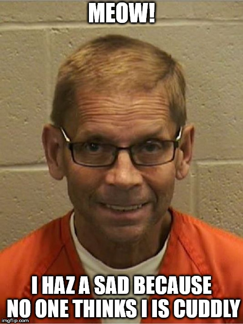 am i cuddly | MEOW! I HAZ A SAD BECAUSE NO ONE THINKS I IS CUDDLY | image tagged in meme,kachinsky,mam,dassey,corrupt | made w/ Imgflip meme maker