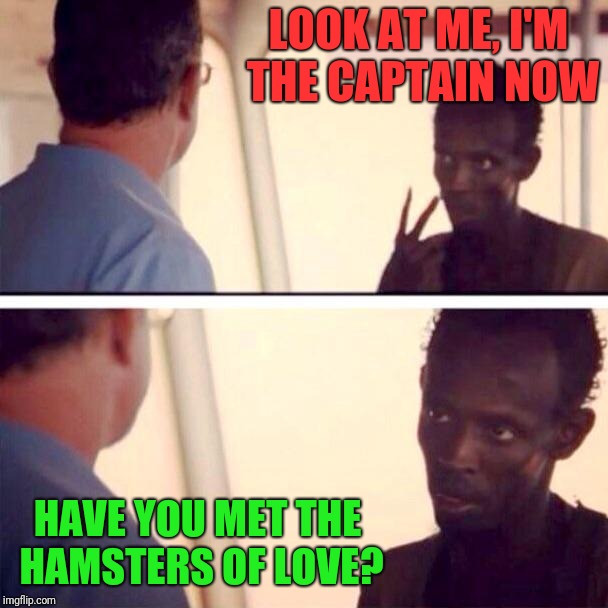 Captain Richard Phillips has seen the Hamsers of Love in action ~^^~ | LOOK AT ME, I'M THE CAPTAIN NOW; HAVE YOU MET THE HAMSTERS OF LOVE? | image tagged in memes,captain phillips - i'm the captain now,hamsters of love,immabot,maersk alabama,navy seals | made w/ Imgflip meme maker