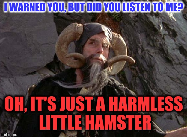 Beware the Hamster of Caerbannog! He's not affiliated with the Hamsters of Love ~^^~ | I WARNED YOU, BUT DID YOU LISTEN TO ME? OH, IT'S JUST A HARMLESS LITTLE HAMSTER | image tagged in monty python,holy grail,hamsters of love,immabot | made w/ Imgflip meme maker