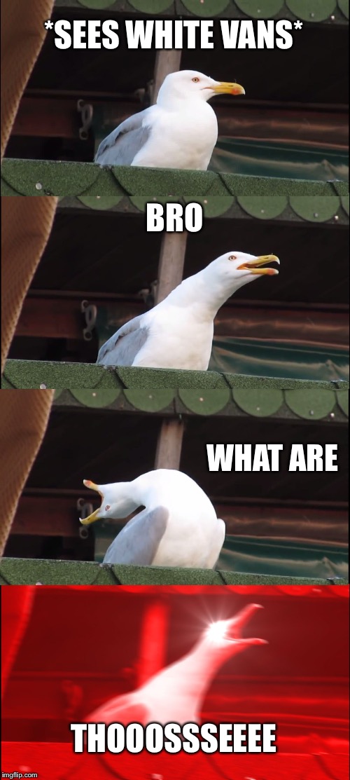 Inhaling Seagull | *SEES WHITE VANS*; BRO; WHAT ARE; THOOOSSSEEEE | image tagged in memes,inhaling seagull | made w/ Imgflip meme maker