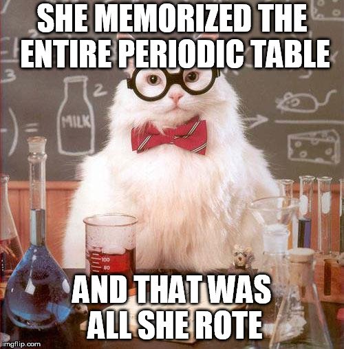 Science Cat | SHE MEMORIZED THE ENTIRE PERIODIC TABLE; AND THAT WAS ALL SHE ROTE | image tagged in science cat | made w/ Imgflip meme maker