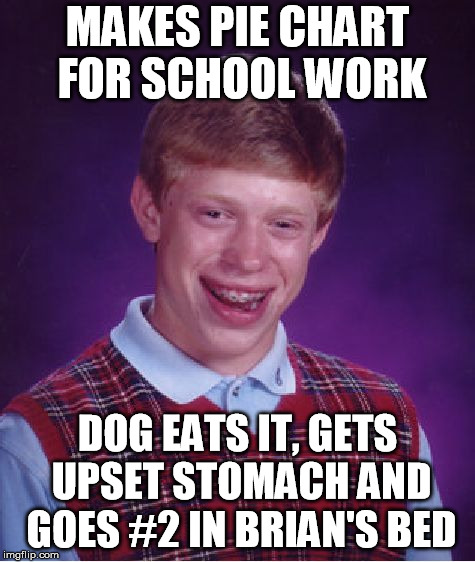 Bad Luck Brian Meme | MAKES PIE CHART FOR SCHOOL WORK DOG EATS IT, GETS UPSET STOMACH AND GOES #2 IN BRIAN'S BED | image tagged in memes,bad luck brian | made w/ Imgflip meme maker