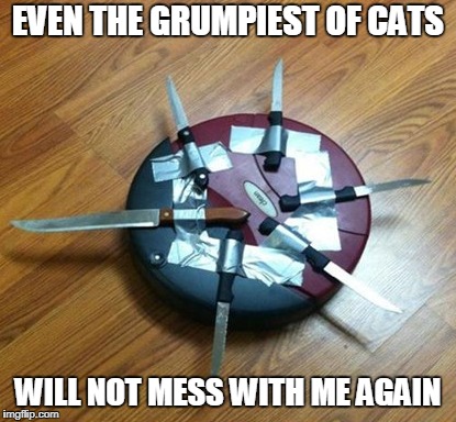 EVEN THE GRUMPIEST OF CATS WILL NOT MESS WITH ME AGAIN | made w/ Imgflip meme maker