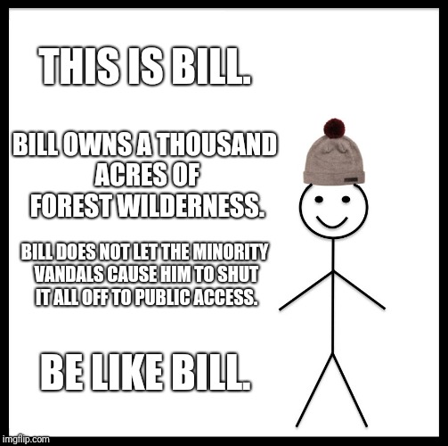 This forest is mine, just like the stewardship of Gondor | THIS IS BILL. BILL OWNS A THOUSAND ACRES OF FOREST WILDERNESS. BILL DOES NOT LET THE MINORITY VANDALS CAUSE HIM TO SHUT IT ALL OFF TO PUBLIC ACCESS. BE LIKE BILL. | image tagged in memes,be like bill | made w/ Imgflip meme maker