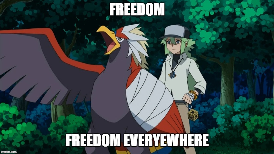 Freedom | FREEDOM; FREEDOM EVERYEWHERE | image tagged in memes | made w/ Imgflip meme maker