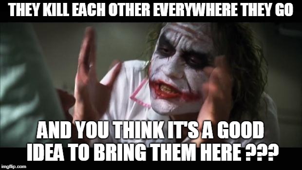 And everybody loses their minds | THEY KILL EACH OTHER EVERYWHERE THEY GO; AND YOU THINK IT'S A GOOD IDEA TO BRING THEM HERE ??? | image tagged in memes,and everybody loses their minds | made w/ Imgflip meme maker