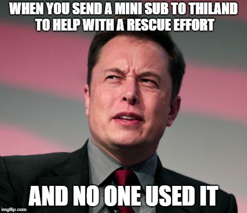Elon Musk Wat | WHEN YOU SEND A MINI SUB TO THILAND TO HELP WITH A RESCUE EFFORT; AND NO ONE USED IT | image tagged in memes,funny,elon musk | made w/ Imgflip meme maker