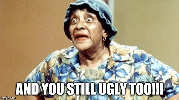 Salty Old Lady | AND YOU STILL UGLY TOO!!! | image tagged in salty old lady | made w/ Imgflip meme maker