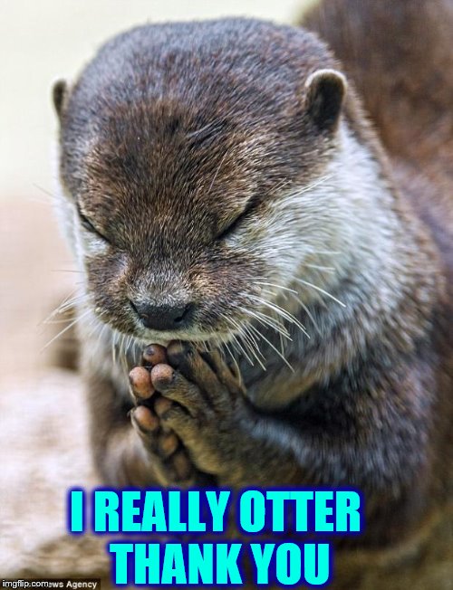 Thank you Lord Otter | I REALLY OTTER THANK YOU | image tagged in thank you lord otter | made w/ Imgflip meme maker