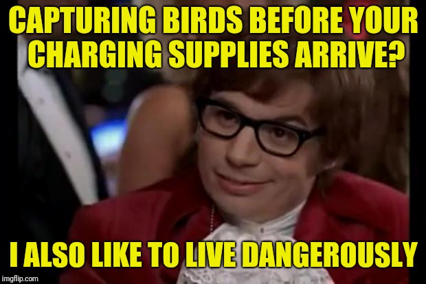 I also like to live dangerously | CAPTURING BIRDS BEFORE YOUR CHARGING SUPPLIES ARRIVE? I ALSO LIKE TO LIVE DANGEROUSLY | image tagged in i also like to live dangerously | made w/ Imgflip meme maker